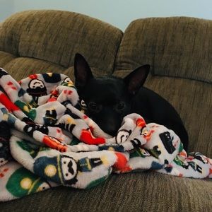 Meet your Posher, Violet